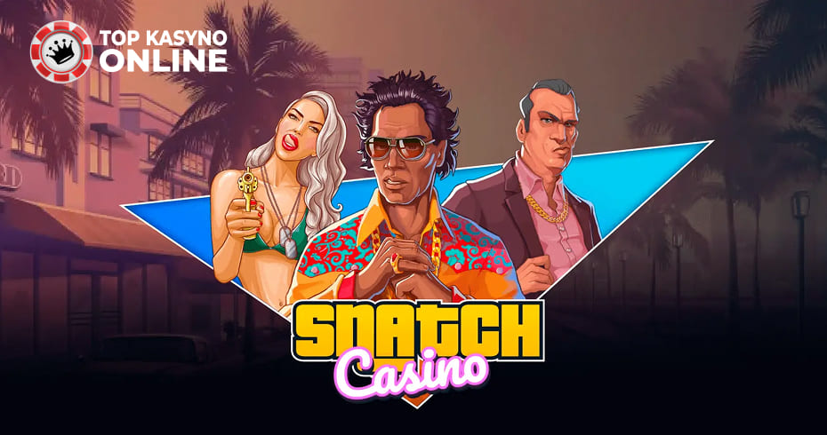 baner z motywem Casino Snatch