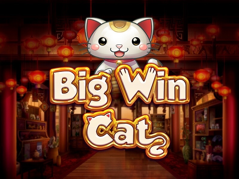 Big Win Cat Big Win Cat